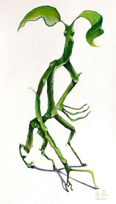 Bowtruckle Drawing, Bowtruckle Tattoo, Fantastic Beasts Bowtruckle, Eddie Redmayne Fantastic Beasts, Harry Potter Plants, Harry Potter Mandrake, Hay Bale Art, Harry Potter Creatures, Best Png