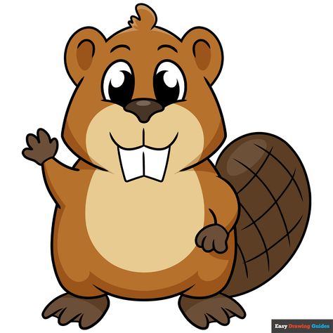 Beaver Drawing Cute, Beaver Pictures, New Drawing Ideas, Beaver Drawing, Cartoon Beaver, Beaver Cartoon, Cheetah Drawing, Easy Drawing Guides, Drawing Steps