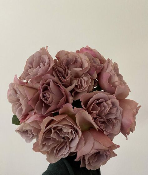 Cafe Latte Rose, Juliet Garden Rose, Mauve Roses, Mauve Taupe, Boho Florals, Mocha Mousse, Rose Taupe, 15 Birthday, Colour Analysis