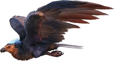 Argentavis Art, Ark Argentavis, Tranquilizer Dart, Ark Survival Evolved, Giant Monsters, Wild Creatures, Prehistoric Creatures, Plant Species, Monster Hunter