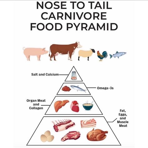 Amber Wentworth on Instagram: “Posted @withrepost • @carnivoremd HOW TO CONSTRUCT A CARNIVORE DIET! As many of you will know I’m definitely an advocate of eating “nose to…” Viking Diet, Carnivore Ideas, Paul Saladino, Caveman Diet Recipes, Zero Carb Foods, Caveman Diet, Meat Diet, Best Business Ideas, Carnivore Diet