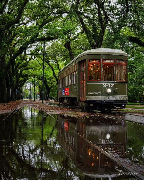 Southern States Aesthetic, Vintage New Orleans Aesthetic, Tulane Aesthetic, Nola Aesthetic, Louisiana Aesthetic, New Orleans Aesthetic, New Orleans Music, New Orleans City, Water Aesthetic