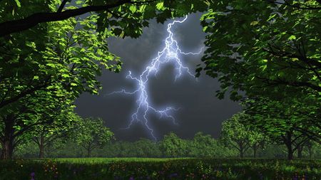 Lightning - field, flowers, nature, sky, storm, trees Trees And Flowers, Lightning Strike, Wild Weather, Natural Phenomena, Alam Yang Indah, Beautiful Sky, Pics Art, Lightning Bolt, Science And Nature