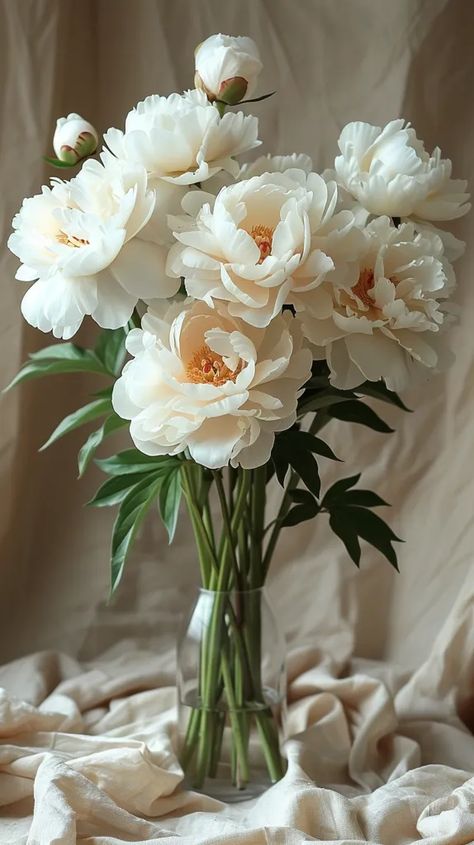 Midjourney AI Image: white peonies --ar 9:16 --v 6.0 --s 750 → more in ai-img-gen.com Peony Arrangement Vase, Peony Photography, White Peonies Bouquet, Peony White, Peony Arrangement, White Floral Arrangements, Soft Background, Clear Glass Vase, Clear Vase