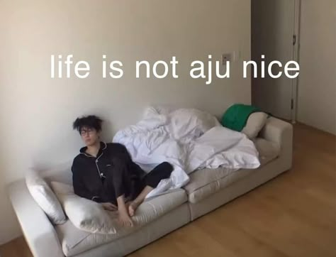 Life Is Not Aju Nice, Seventeen Meme, Aju Nice, No Context, Seventeen Memes, Study Pictures, Seventeen Going Seventeen, Going Seventeen, Seventeen Wonwoo