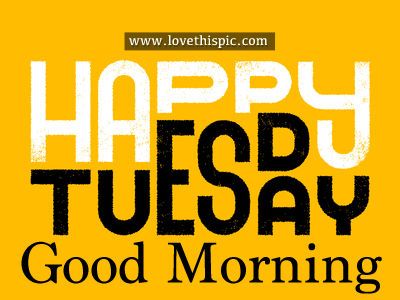 Happy Tuesday Hump Day Quotes, Tuesday Pictures, Tuesday Greetings, Morning Announcements, Tuesday Inspiration, Hello Tuesday, Saturday Quotes, Good Morning Tuesday, Quotes Gif