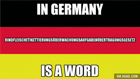 Meanwhile in Germany... German Humor, 9gag Funny, German Words, Learn German, Different Languages, Animal Jokes, Laughing So Hard, Funny Laugh, Funny Images