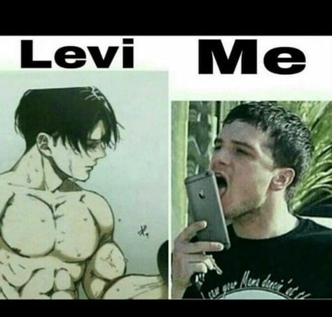 Levi Memes, Attack On Titan Meme, Aot Funny, Hiro Big Hero 6, Memes Pt, Captain Levi, Attack On Titan Funny, Titans Anime, Attack On Titan Levi