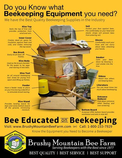 Bee Equipment, Bee Farming, Bee Life Cycle, Bee Hive Plans, Backyard Bee, Raising Bees, Beekeeping For Beginners, Bee Supplies, Beekeeping Equipment