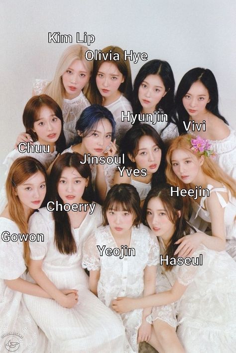 Learn loona's names/ guide to stanning loona Loona Members Names, Loona Names, Revenge Girl, Loona Ot12, Kpop Group Names, Girls Group Names, Moorim School, Olivia Hye, Group Photos