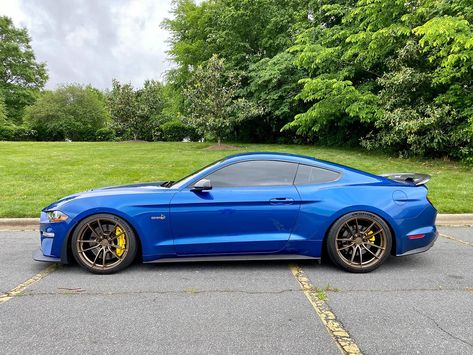 Blue Ford Mustang, 2017 Mustang, Blue Mustang, Mustang Wheels, Bronze Wheels, Mustang Car, S550 Mustang, Ford Mustang Car, Ford Mustang Shelby