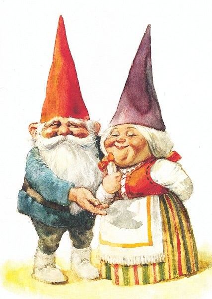 David de Kabouter Gnome Costume, David The Gnome, Elves And Fairies, Fairies Elves, Dutch Artists, Norman Rockwell, Gnome Garden, Beatrix Potter, Magical Creatures