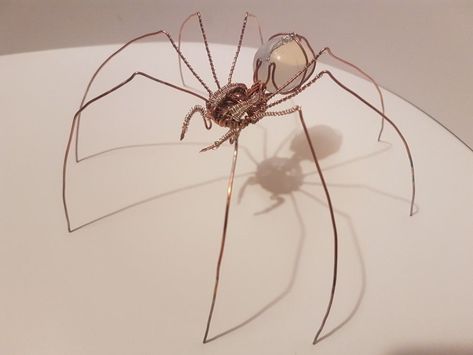 Wire Spider Sculpture, Insect Wire Sculpture, Wire Spider Tutorial, Wire Insects, Wire Bugs, Metal Wire Sculpture, Spider Sculpture, Wire Spider, Copper Wire Crafts