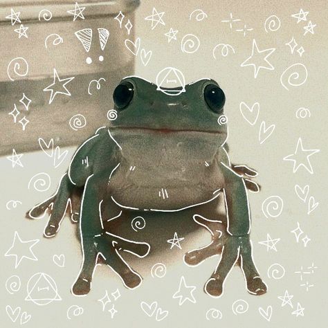 Cute Pfp Frog, Therians Pfp, Frog Pfp, Therian Pfp, Black Backed Jackal, Silly Animal Pictures, Whites Tree Frog, Animal Outline, Frog Pictures