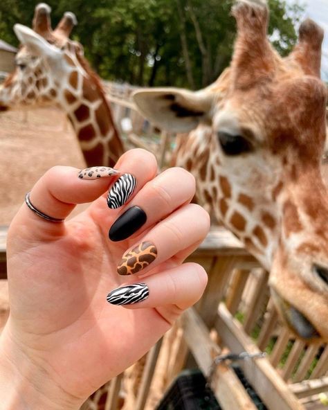 Nails Giraffe, Giraffe Nails, Safari Nails, Zebra Nail Designs, Leopard Nail Designs, Cheetah Nail Designs, Zebra Nails, Nagellack Trends, Cheetah Nails