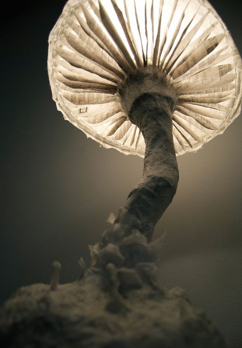 Beautiful Paper Mache Fungus Mushroom Lamp  #DIY #Handmade #LightBulb #Mushroom #paper #Recycled        Paper Mache Fungus Mushroom Lamp made from recycled paper, Elmer's glue, and hot glue. Painstakingly handcrafted with attention to detai... Paper Mache Mushroom, Lampe Steampunk, Handmade Lamp, Paper Mache Sculpture, Handmade Lamps, Unique Table, Light Sculpture, Unique Tables, Mushroom Lamp