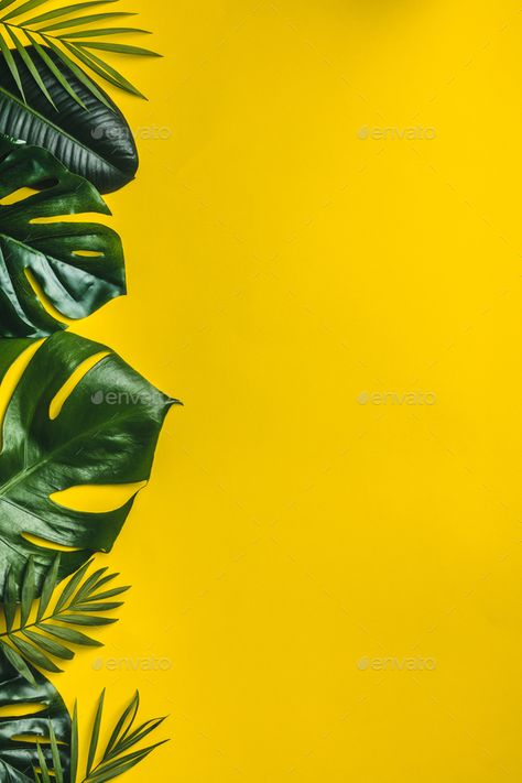 Tropical leaves on yellow background Yellow Background Wallpapers, Tropical Leaves Background, Tropical Leaves Wallpaper, Background Minimal, Leaves Background, Tropical Background, Poster Background Design, Leaf Background, Yellow Wallpaper