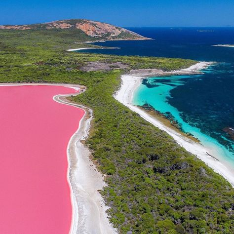 Lake Hillier is located in Australia. 📸 @mkz.imagery Hutt Lagoon, Pink Lake, Milk Shake, Island Home, Pink Colour, Travel Photos, Places To Travel, Pink Color, Golf Courses