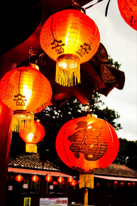 Japanese Lantern Festival🏮 Chinese Lanterns Aesthetic, Japanese Festival Aesthetic, Japanese Lantern Tattoo, Japanese Lantern Festival, Japan Lantern, Asian Lanterns, Lantern Aesthetic, Lantern Photography, Lantern Wallpaper