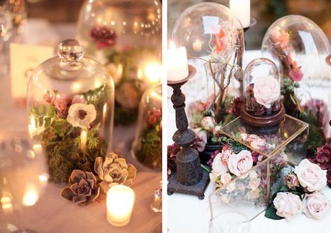 Bells Jars For Weddings – How To Style Them Glass Cloches, Midsummer Nights Dream Wedding, Terrarium Centerpiece, Dream Party, Midsummer Night's Dream, The Bell Jar, Midsummer Nights Dream, Deco Floral, Woodland Wedding