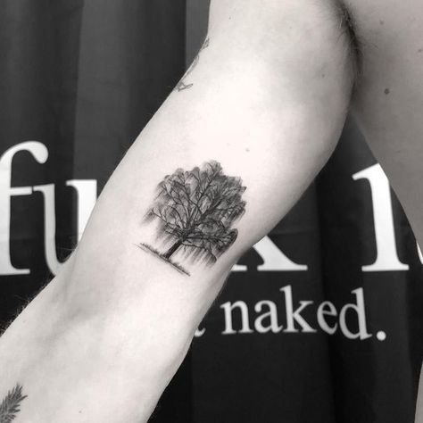 Willow Tree Tattoo Meaning: A Symbolic Expression of Nature's Resilience and Grace Willow Tree Butterfly Tattoo, Savannah Georgia Tattoo Ideas, Willow Tree Tattoo Men, Weeping Willow Tree Tattoo, Weeping Willow Tattoo, Willow Tattoo, Willow Tree Tattoo, Tree Tattoo Meaning, Tree Tattoo Arm