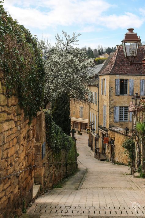 French Cottagecore Aesthetic, European Countryside, French Countryside Outfit, French Country Side, France Countryside Aesthetic, European Countryside Aesthetic, France Countryside, French Countryside Aesthetic, Italy Countryside