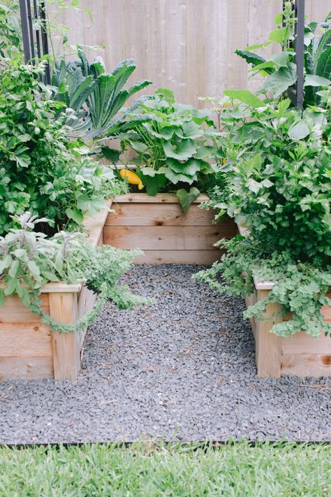 Kitchen Garden On Deck, Small Kitchen Garden, Making Raised Beds, Backyard Garden Beds, Craftsman Modern, Wooden Raised Garden Bed, Garden Vase, Building Raised Beds, Raised Bed Garden Design