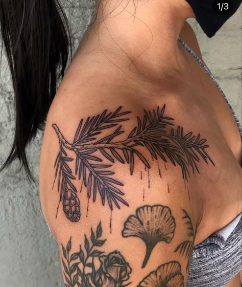 Pacific Northwest Sleeve Tattoo, American Traditional Pinecone Tattoo, Pine Needles Tattoo, Fern Tattoo Placement, Pine Leaf Tattoo, Naturalistic Tattoos, Forestry Tattoos, Woodland Animal Tattoo, Nature Shoulder Tattoo