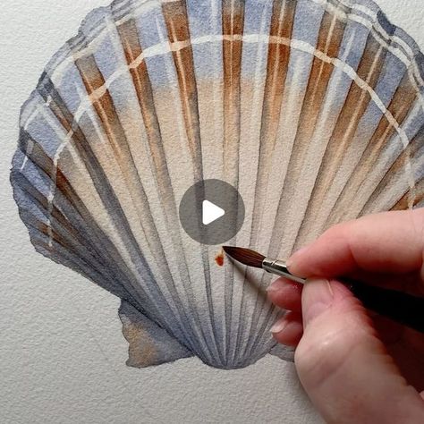 Shell Drawing Watercolor, Watercolor Shells Tutorial, Sea Shell Watercolor Paintings, Paintings Of Seashells, Watercolor Seashells Tutorial, Seashell Watercolor Painting, Seashell Art Painting, Watercolor Shells, Shell Watercolor