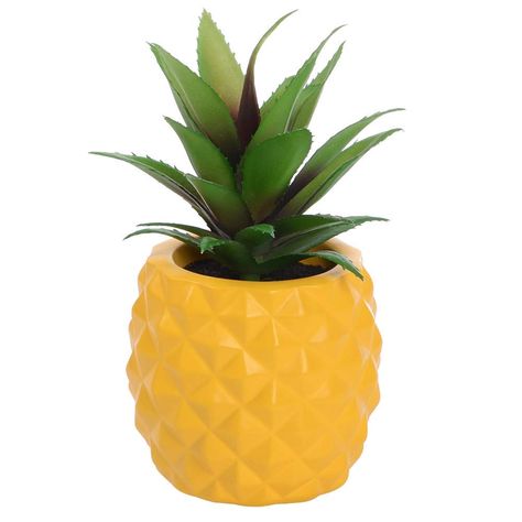 Pineapple Bathroom, Trailing Succulents, Succulent Wedding Centerpieces, Pineapple Plant, Pineapple Planting, Succulent Garden Indoor, Artificial Plants Decor, Orlando Disney, Succulent Centerpieces