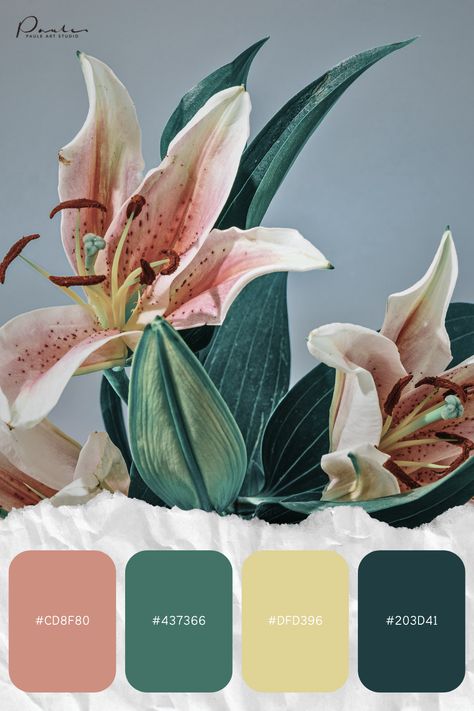 #colorpalette #palette #color #colorscheme #colorswatch #colourpalette #colorinspiration #inspiration #graphicdesign #branding #design #hexcode Monstera Color Palette, Nature Color Pallete, Succulent Color Palette, Color Pallete, Plant Shop, Palette Color, Floral Color, Color Swatch, Color Pallets