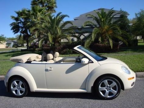 Volkswagen Beetle Convertible, Bug Car, Car Deco, Beetle Car, Beetle Convertible, Girly Car, Pink Car, Volkswagen Bus, Classy Cars