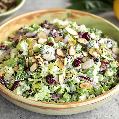 Enjoy this super crunchy and delicious salad. Crisp raw broccoli tossed with Super Superkraut, dried cranberries, almonds, red onion and a zesty creamy dressing. Sauerkraut Meatballs, Salad Cranberries, Kimchi Recipes, Sauerkraut Salad, Raw Sauerkraut, Broccoli Stalk, Arugula Recipes, Raw Broccoli, Paleo Salads