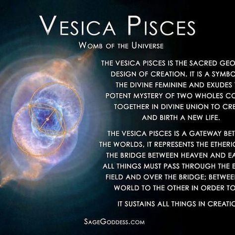 Womb Chakra, Vesica Pisces, Sacred Geometry Meanings, Pisces Constellation Tattoo, Divine Union, Divine Proportion, Pisces Constellation, Pisces Tattoos, Sacred Geometric