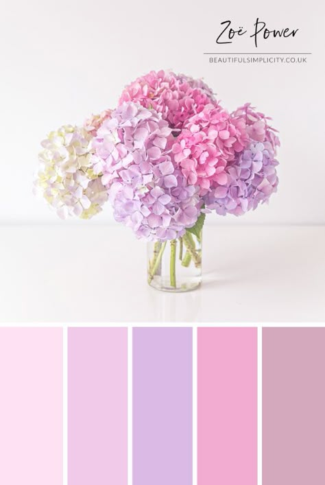 These beautiful Hydrangeas in lots of different pastel shades of pink and purple were the inspiration for this Colour Palette. I just love these pastel lilacs, lavenders, dusky plums and deep pinks together. The perfect wall art for a pastel pink or purple bedroom. Available to buy as a print in a range of formats, as well as greeting cards, postcards, notebooks, stickers, tote bags, coasters and more. #colourpalette #colorpalette #pastel #hydrangeas #pink #purple #flowers Lavender Color Palette, Deco Pastel, Hydrangea Colors, Purple Color Palettes, Color Schemes Colour Palettes, Color Palette Pink, Pastel Colour Palette, Color Palate, Design Seeds