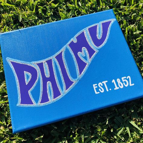 Phi Mu Sorority Canvas, Phi Mu Paintings Canvases, Phi Mu Canvas Painting, Phi Mu Paintings, Easy Sorority Canvas, Big Little Paintings, Sorority Paintings, Sorority Canvas Ideas, Alpha Phi Canvas