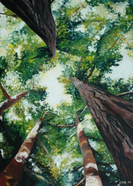 Hermann Hesse, Tree Artwork, Flora Fauna, Plant Painting, Nature Art Painting, Creative Painting, Diy Canvas Art Painting, Art Inspiration Painting, Dreamy Art