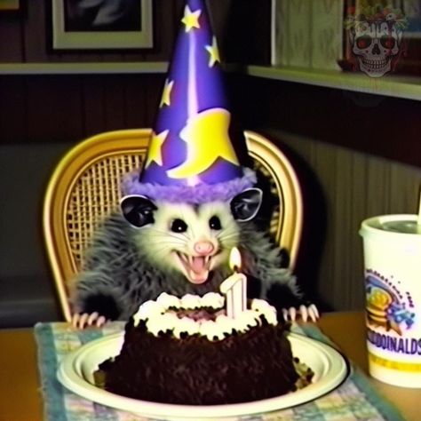 Ugly Raccoon, Opossum Aesthetic, Cute Opossum, Possum Profile Picture, Possum Birthday, Possum Pfp, Halloween Opossum, Clown Possum, Silly Possum