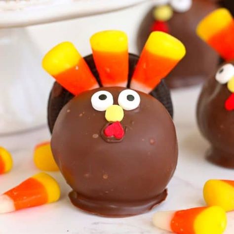 Turkey Cake Balls - The Country Cook Thanksgiving Turkey Cake, Turkey Cake Pops, Thanksgiving Cake Pops, Pot Bread, Chocolate Turkey, Jello Salads, Butter Desserts, Fun Holiday Treats, Turkey Cake