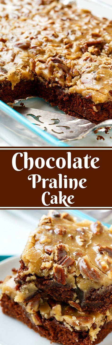 Chocolate Praline Cake makes a delicious southern dessert for Mardi Gras Praline Frosting Recipe, Chocolate Praline Cake, Praline Frosting, Church Desserts, Dessert Corner, Delish Cakes, Praline Cake, Praline Recipe, Layered Cakes