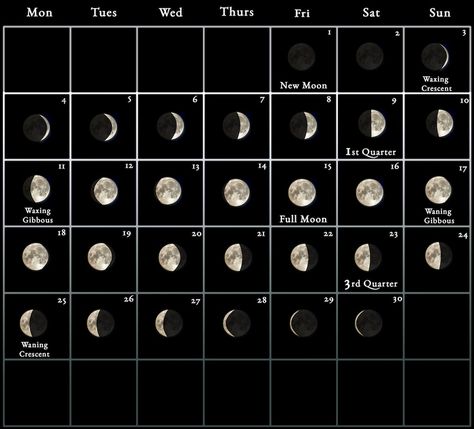 2024 Moon Calendar - every phase and stage of the moon Lunisolar Calendar, Moon Stages, Moon Map, New Moon Phase, Moon Meaning, Moon Orbit, Moon Phase Calendar, Lunar Phases, Full Moon Ritual