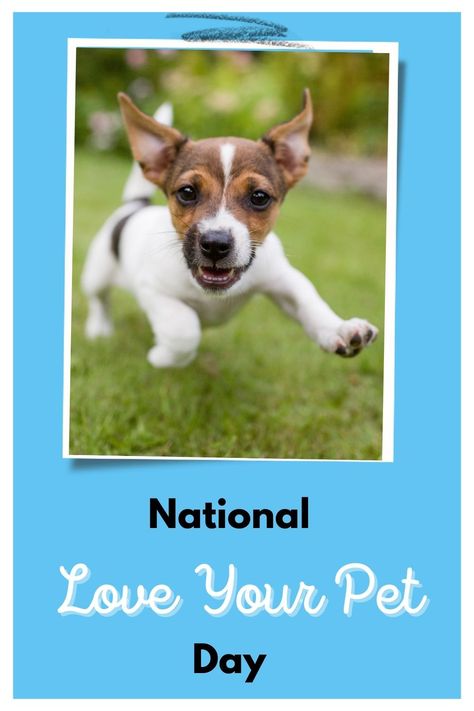 National Love Your Pet Day Dog Friendly Stores, 10 Ways To Love, National Love Your Pet Day, Love Your Pet Day, Ways To Love, Dog List, Love Your Pet, Pet Day, Cat Condo