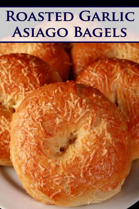 A pile of garlic asiago bagels on a plate. Homemade Asiago Bagels, Asiago Cheese Bagels, Flavored Bagel Recipe, Sweet Bagel Recipe, Asiago Cheese Bagel Recipe, Chocolate Chip Bagel Recipe, Asiago Bagel Recipe, Yeast Bagels, Bagel Spread Recipes