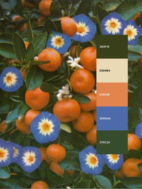 Colour Palette With Forest Green, Cream Orange Color Palette, Flower Colour Scheme, Green To Brown Color Palette, Green Orange Brown Wedding, Talavera Color Palette, Green Orange Tan Color Palette, Dark Blue Green Orange Color Palette, Blue Green Orange Yellow Color Palette