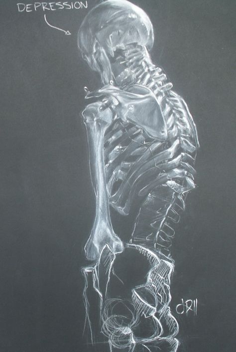 Charcoal Skeleton, Skulls Reference, Charcoal Techniques, Spine Drawing, Male Figure Drawing, Skeleton Drawings, Art Alevel, Pencil Drawing Tutorials, Ap Studio Art