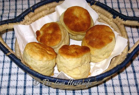 The Iowa Housewife: Cooking with Lard...Never Fail Lard Biscuits Lard Biscuits Recipes, Baking Powder Biscuits Recipe, Lard Biscuits, Homemade Biscuit Recipe, Iowa Recipes, Lard Recipe, Homemade Biscuit, Baking Powder Biscuits, Homemade Biscuits Recipe