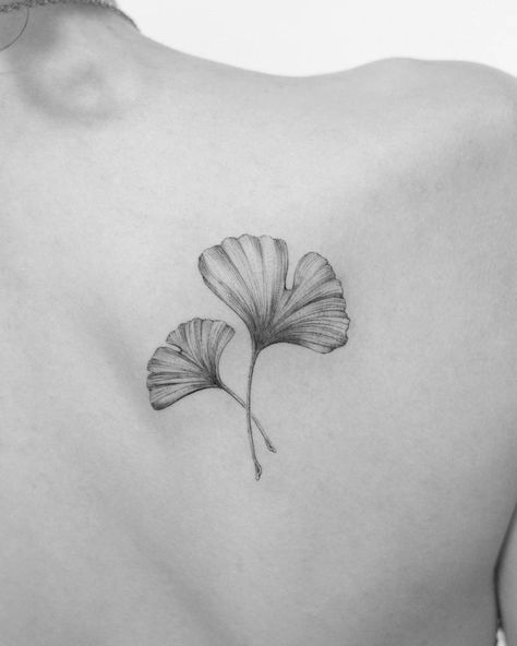 Micro-realistic ginkgo leaves tattoo on the shoulder Fine Line Ginko Tattoo, Ginkgo Leaf Tattoo Color, Ginkgo Leaf Tattoos, Ginkgo Tattoo Minimal, Ginkgo Leaves Tattoo, Ginko Biloba Tattoo, Ginko Leaf Tattoo, Gingko Leaves Tattoo, Ginko Leaf Tattoos