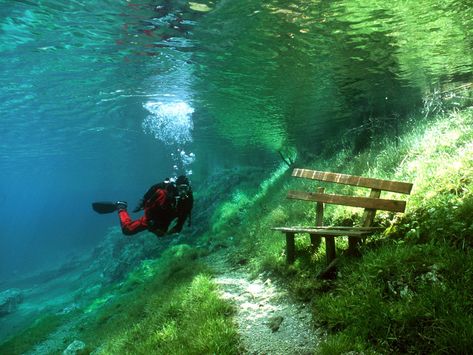 During the fall and winter, Austria’s Green Lake is a small but scenic body of water surrounded by popular hiking trails. But when the snow on the bordering mountains begins to melt in the spring, the runoff causes the lake’s water levels to rise. By June, the nearby park becomes completely submerged, making for one of the most unusual diving experiences in the world. Green Lake Austria, Underwater Park, Green Lake, Destination Voyage, Bryce Canyon, Pretty Places, Oh The Places Youll Go, Albania, Travel Bucket