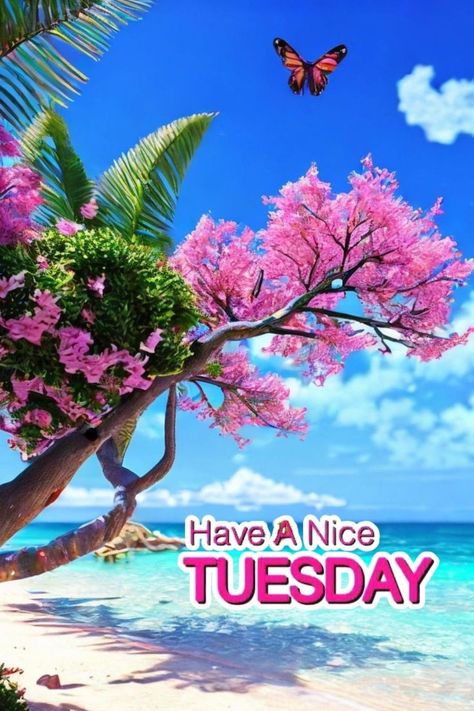 Hello Tuesday Mornings, Bible Quotes Tamil, Good Morning Happy Tuesday, Beautiful Tuesday, Happy Tuesday Morning, Hello Tuesday, Bon Mardi, Quotes Tamil, Week Quotes