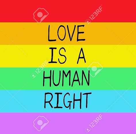 Queer Quote, Gay Pride Quotes, Short Sayings, Pride Quotes, Lgbtq Quotes, Equality And Diversity, Pride Rock, We Are All Human, Lgbt Love